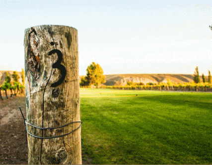 Vineyard Greens Golf Course